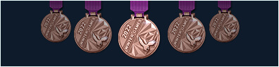 Winter Games Special medal